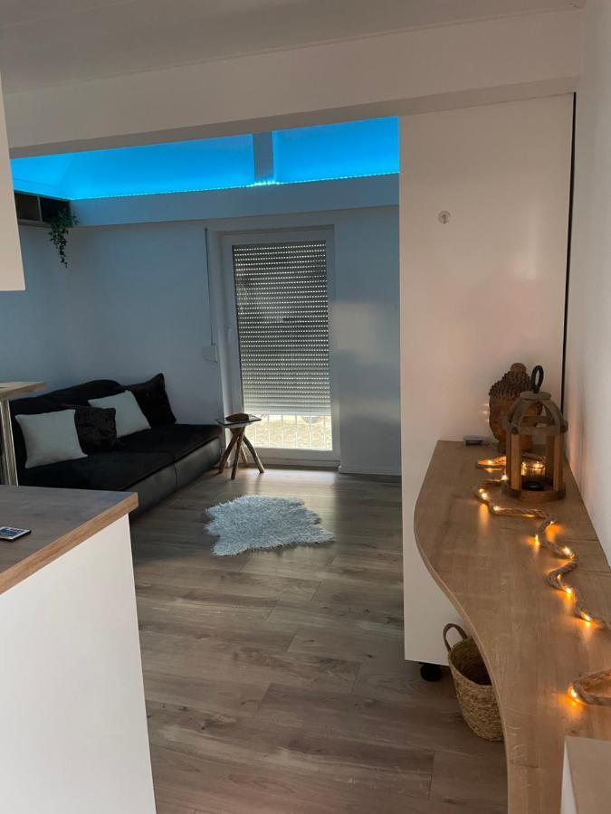 Pfalzkinder Apartment