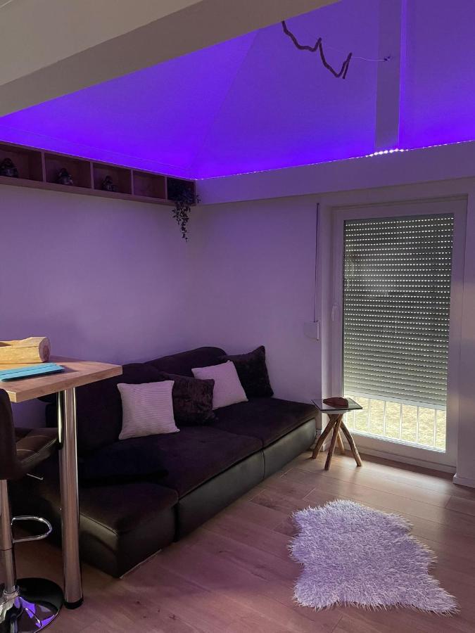 Pfalzkinder Apartment