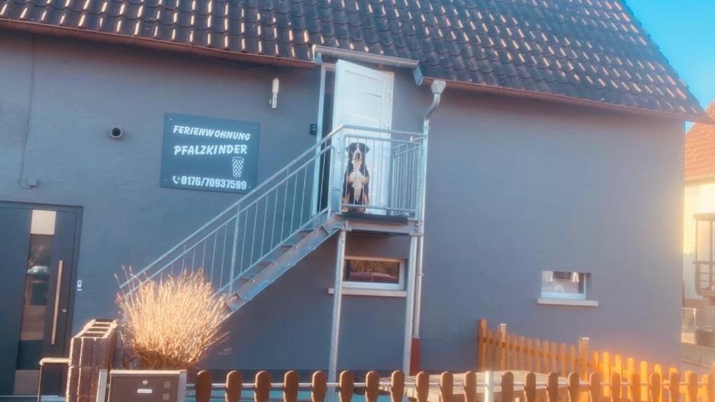 Pfalzkinder *